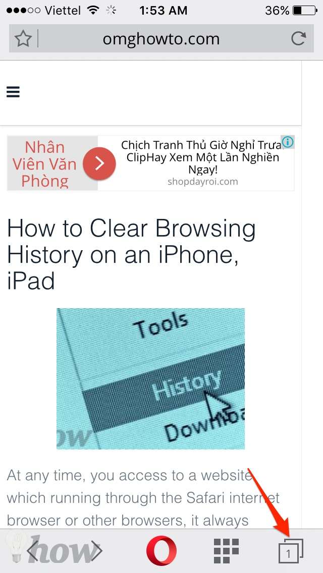 clear browsing history on an iPhone