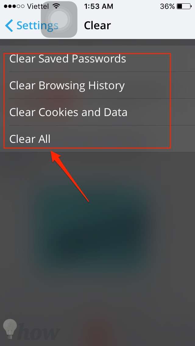 clear browsing history on an iPhone