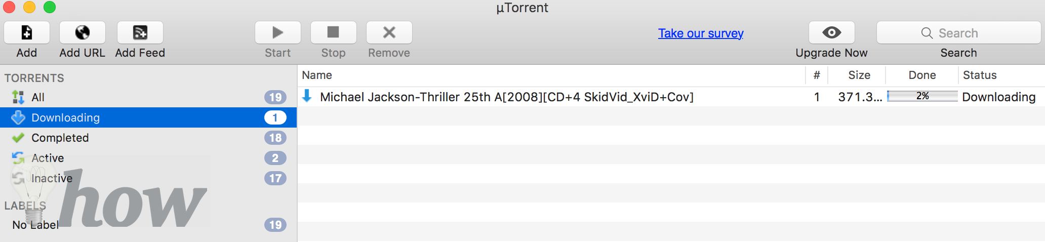 download torrent mac 