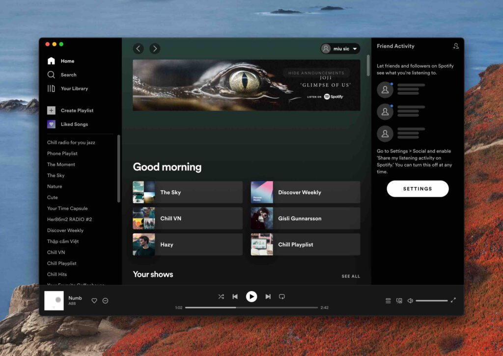  Spotify Desktop Interface